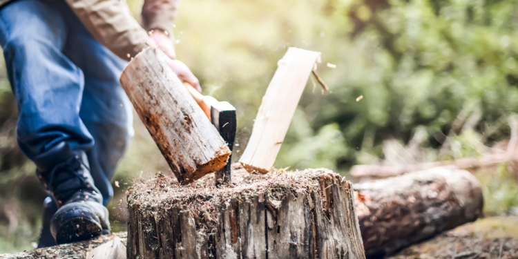 Man hackt  im Wald mit einer Axt ein Holzscheit auf einem Baumstamm.