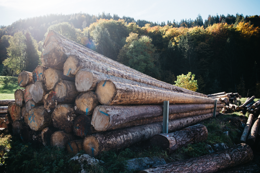 mafi produziert ausschließlich in Österreich, das Holz selbst stammt aus nachhaltiger Forstwirtschaft Mitteleuropas.