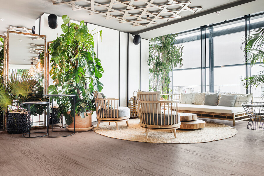 mafi ©  Margarita Nikitaki präsentiert Cor Esche in einer Wohnzimmerlounge mit großen Holzsesseln, blühenden Pflanzen, Spiegel und einer durchgehenden Glasfront.