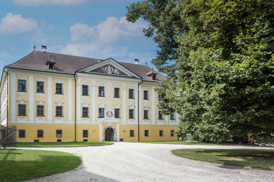 Eine der Locations für die Gartenlust 2021, Schloss Grafenstein, in Kärnten, gelbes, altes Schloss mit schönen Verzierungen an der Fassade, grosser Baum davor.