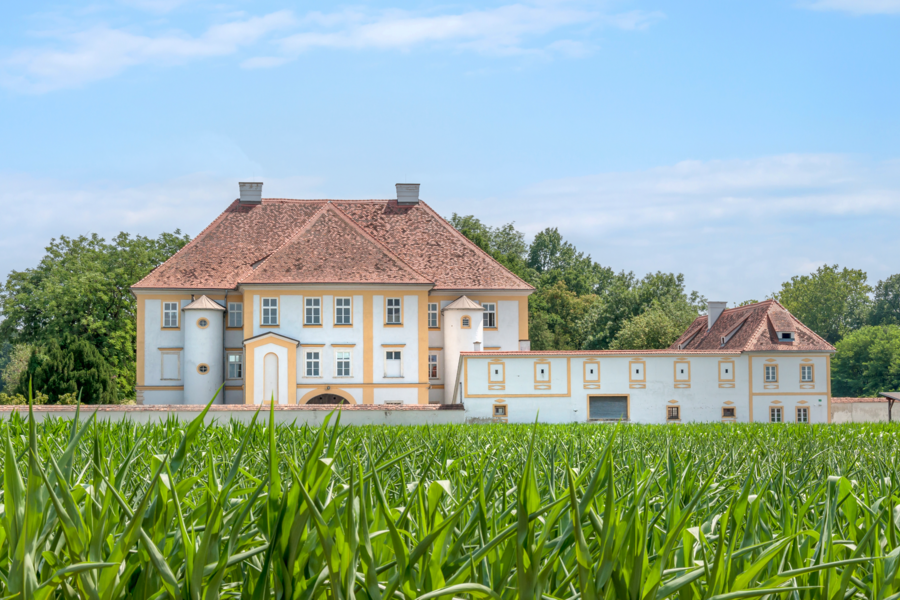 Eine der Locations der Gartenlust-Veranstaltungsmärkte ist das Schloss Wundschuh, weiss-gelbe Fassade, braunes Dach.