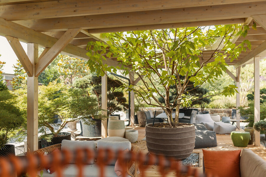 Nentwich zeigt eine Gartenlaube gebaut aus Holz mit Sitzgelegenheiten und einem großen Topf mit einem Baum eingepflanzt im Vordergrund.
