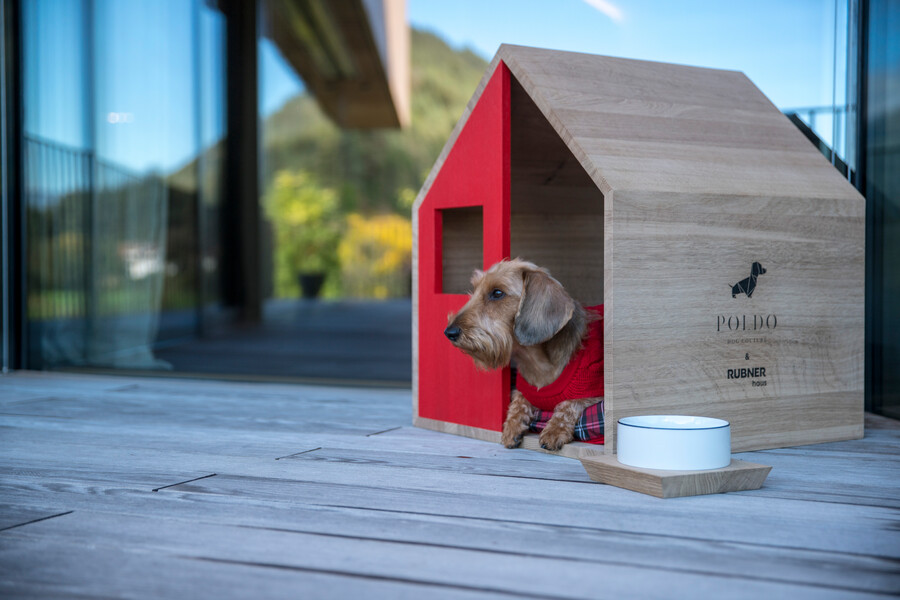 Stylishes Hundeholzhaus von italienischem Holzriegel-Fertighaus-Hersteller Rubner Haus.