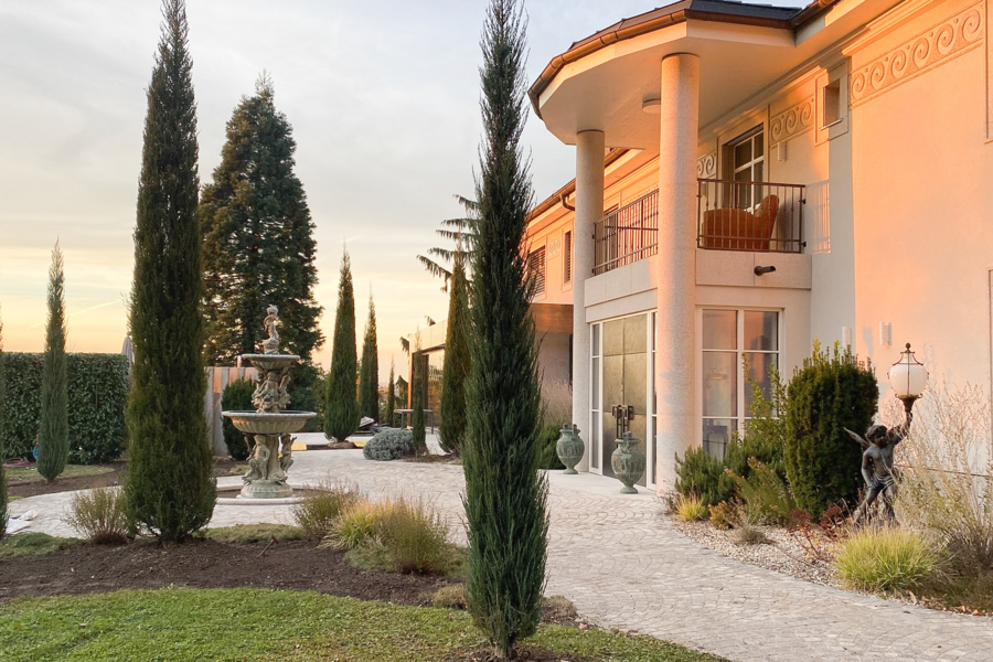 Gartenbau Schmid zeigt eine moderne Villa mit in Form gebrachten Büschen, einen Brunnen  und gepflasterten Weg zur Terrasse.