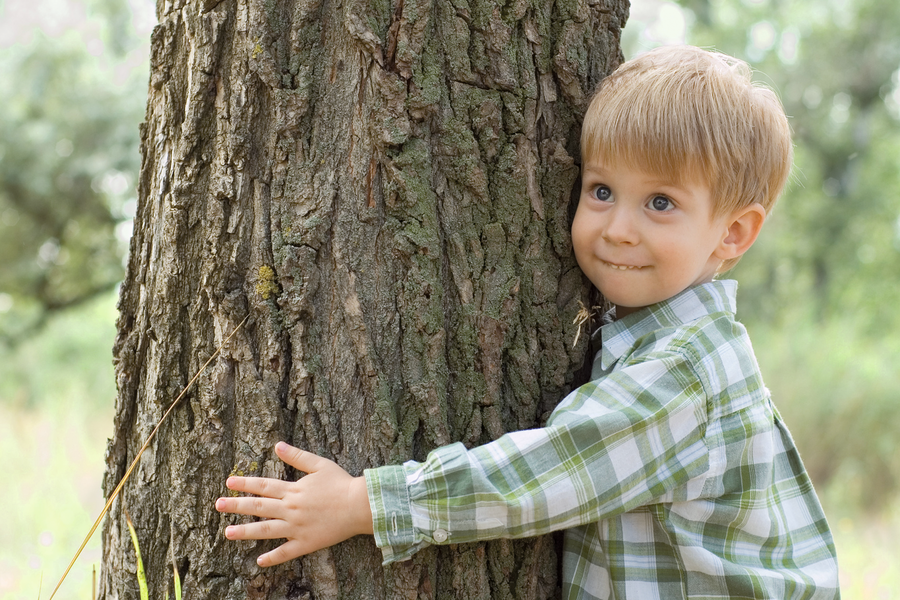 Kleiner Junge im karierten Hemd, der einen Baumstamm umarmt.