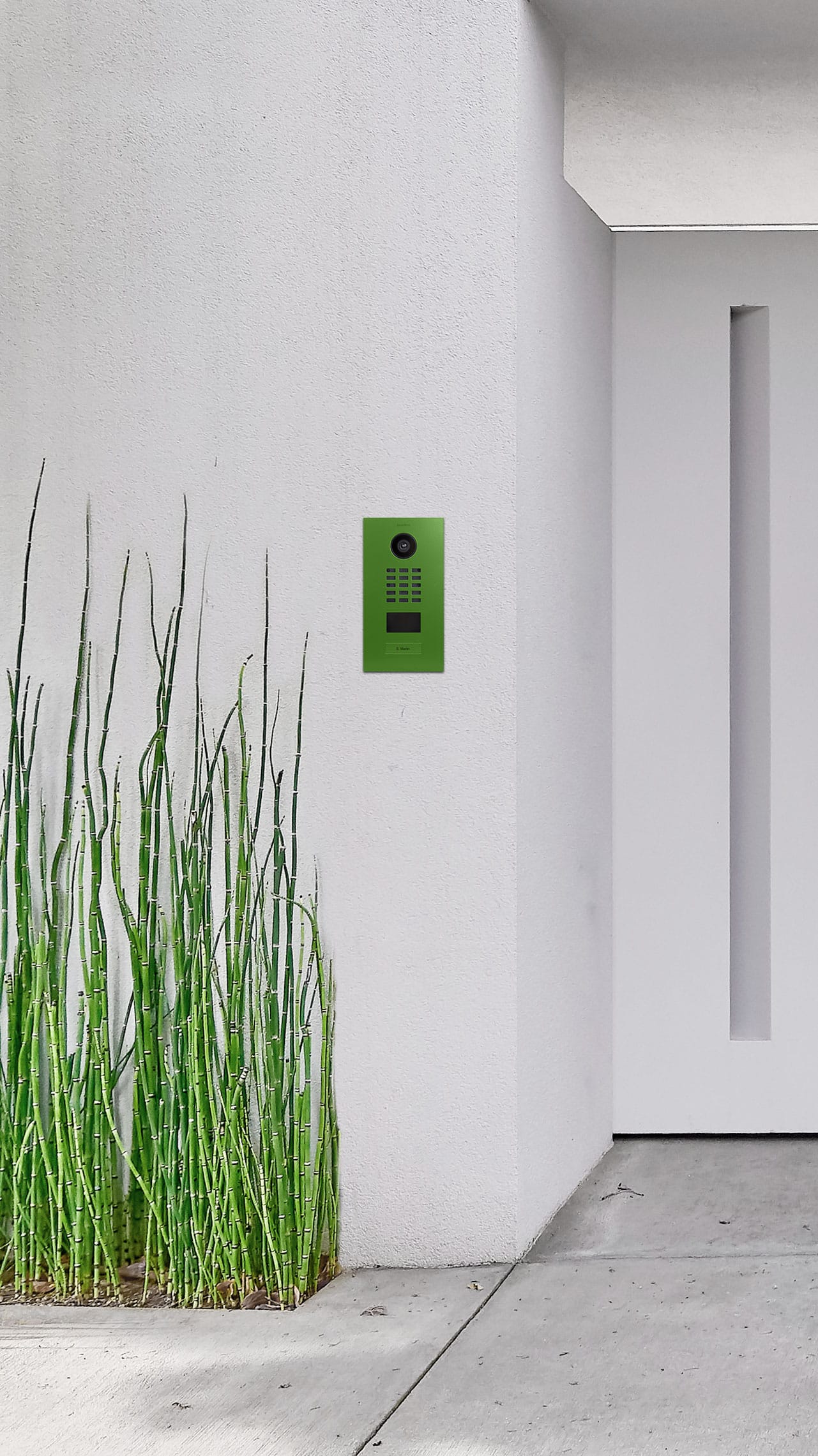 Bird Home Automation zeigt eine Türsprechanlage mit Videofunktion in grün lackiertem Metall vor einem modernen Einfamilienhaus.