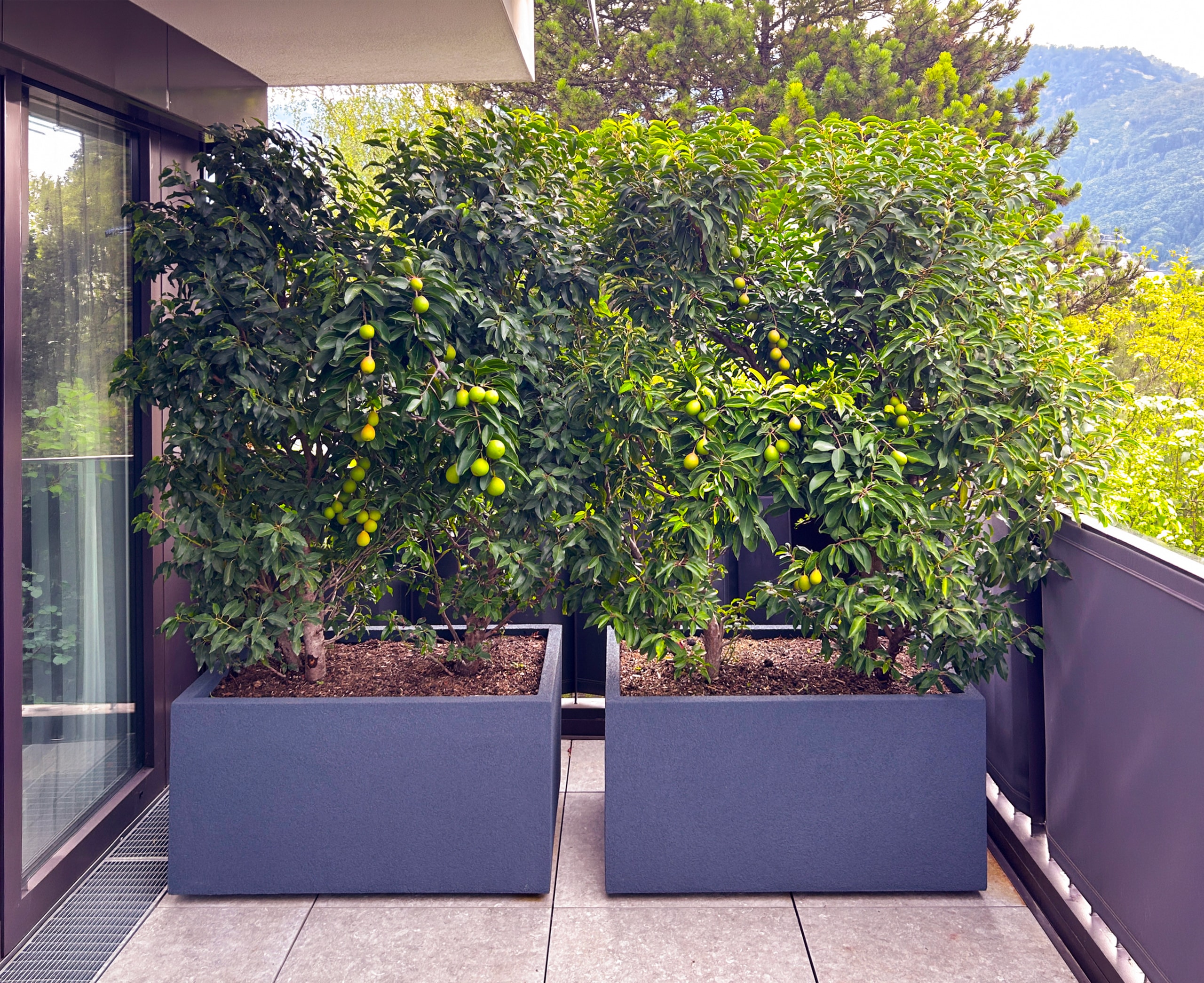 Ein Balkon mit zwei großen Pflanzkübeln auf versteckten Rollen von Blumentrog-Flexi.
