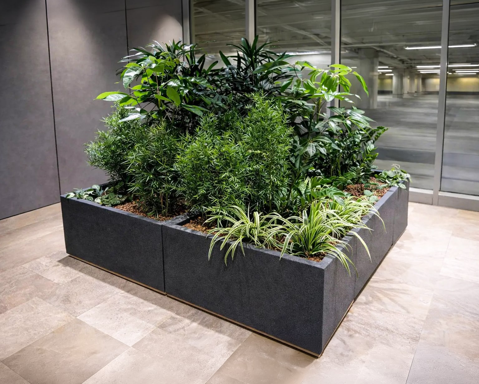Zwei XXL-Pflanzkübel von Blumentrog-Flexi aus einer Hartschaumkernplatte - zu einer quadratischen Insel zusammengefügt - steht dekorativ in einem gewerblichen Raum mit Fensterfront zum Parkhaus.
