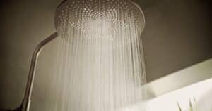 HANSA präsentiert die Regendusche mit rundem Kopf aus gebürsteter Bronze der Serie Aurelia, deren Düsen die Form einer Blume haben.