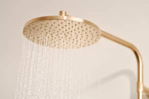 HANSA präsentiert die Regendusche mit rundem Kopf aus gebürsteter Bronze der Serie Viva.