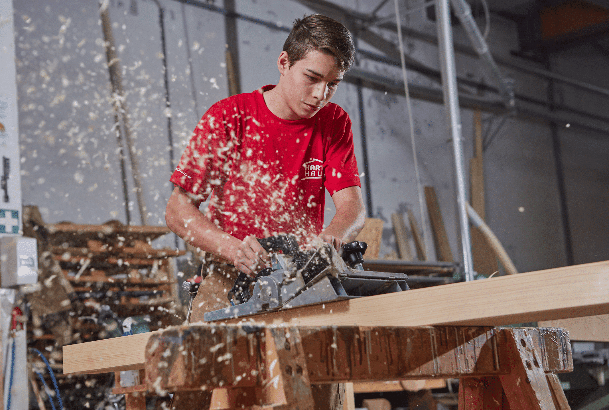 Mit Holz klimapositiv Bauen - 1 Kubikmeter Holz bindet 1 Tonne CO2.