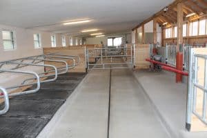 Innenaufnahme eines modernen Kuhstalls mit aus Beton mit Holzelementen von Kickinger Bau.