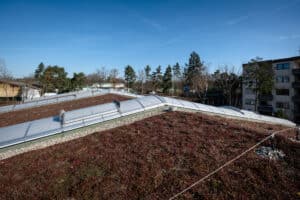 Lamilux zeigt Dachfenster mit einer Wölbung, die sich über die ganze Breite eines Zeltdachs erstrecken, das begrünt ist.