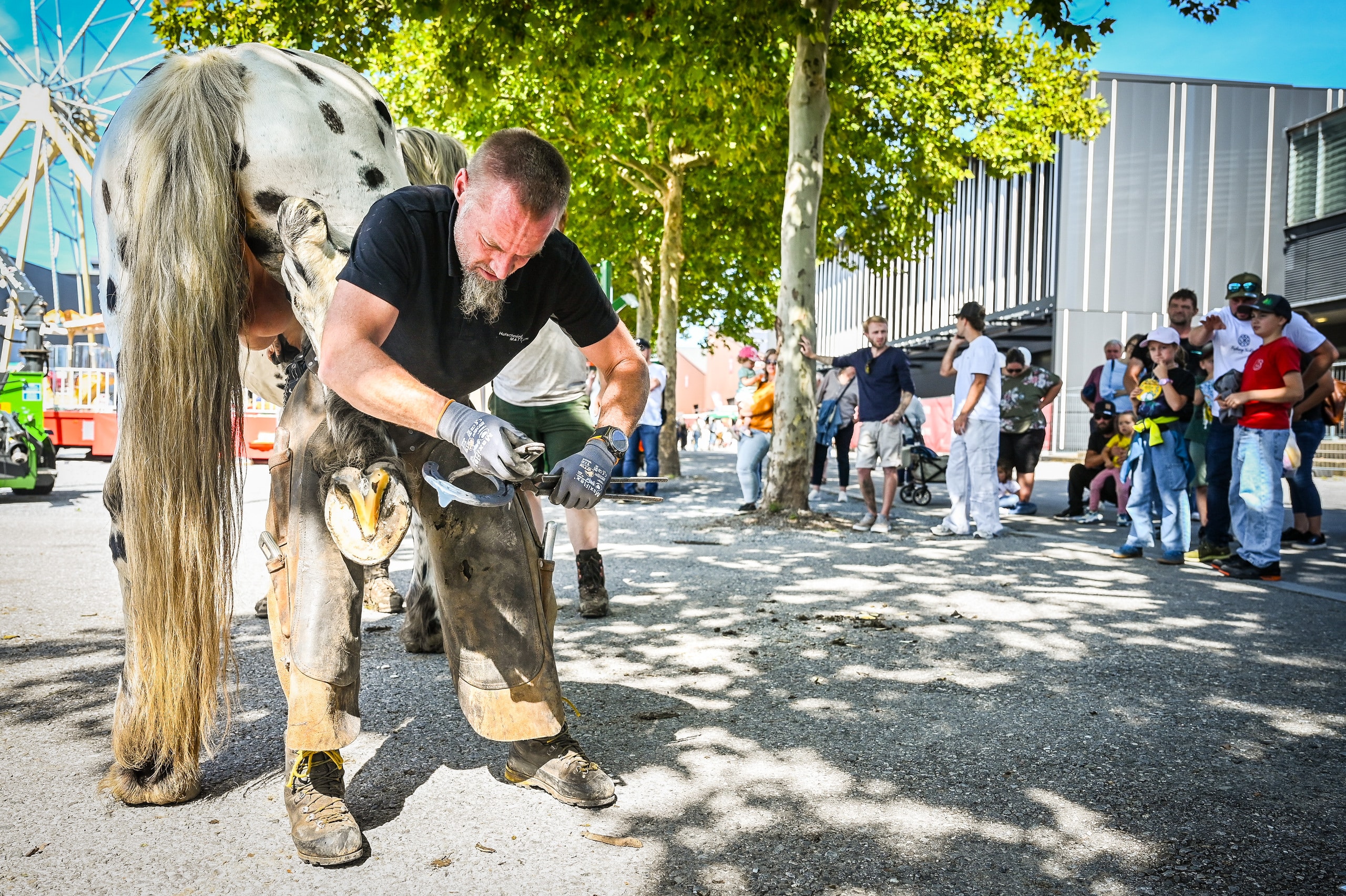Auch ein Hufschmied zeigt auf der Herbstmesse Dornbirn sein Können.
