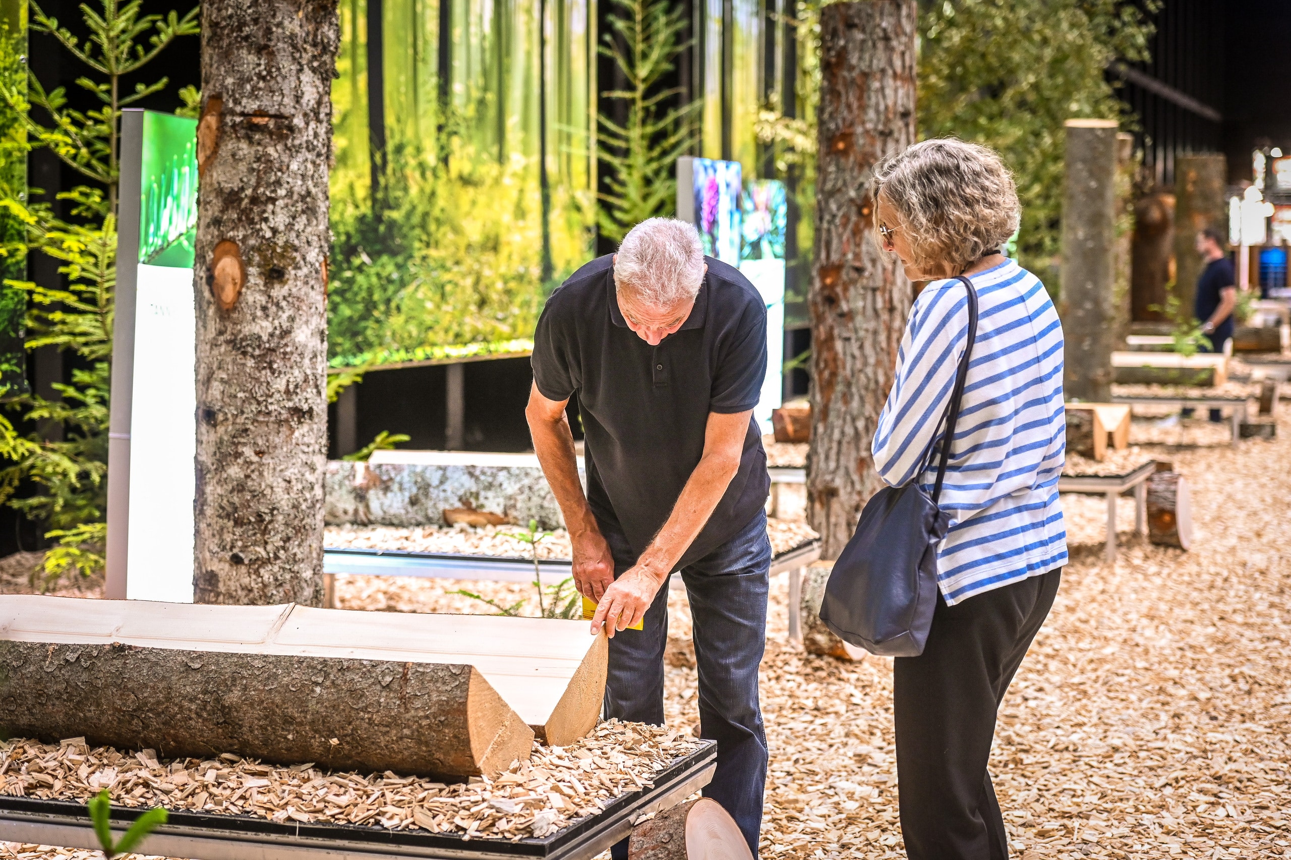 Die neuen Holzwelten zählten laut BesucherInnenbefragung zu den meistgenannten Höhepunkten der Herbstmesse in Dornbirn.