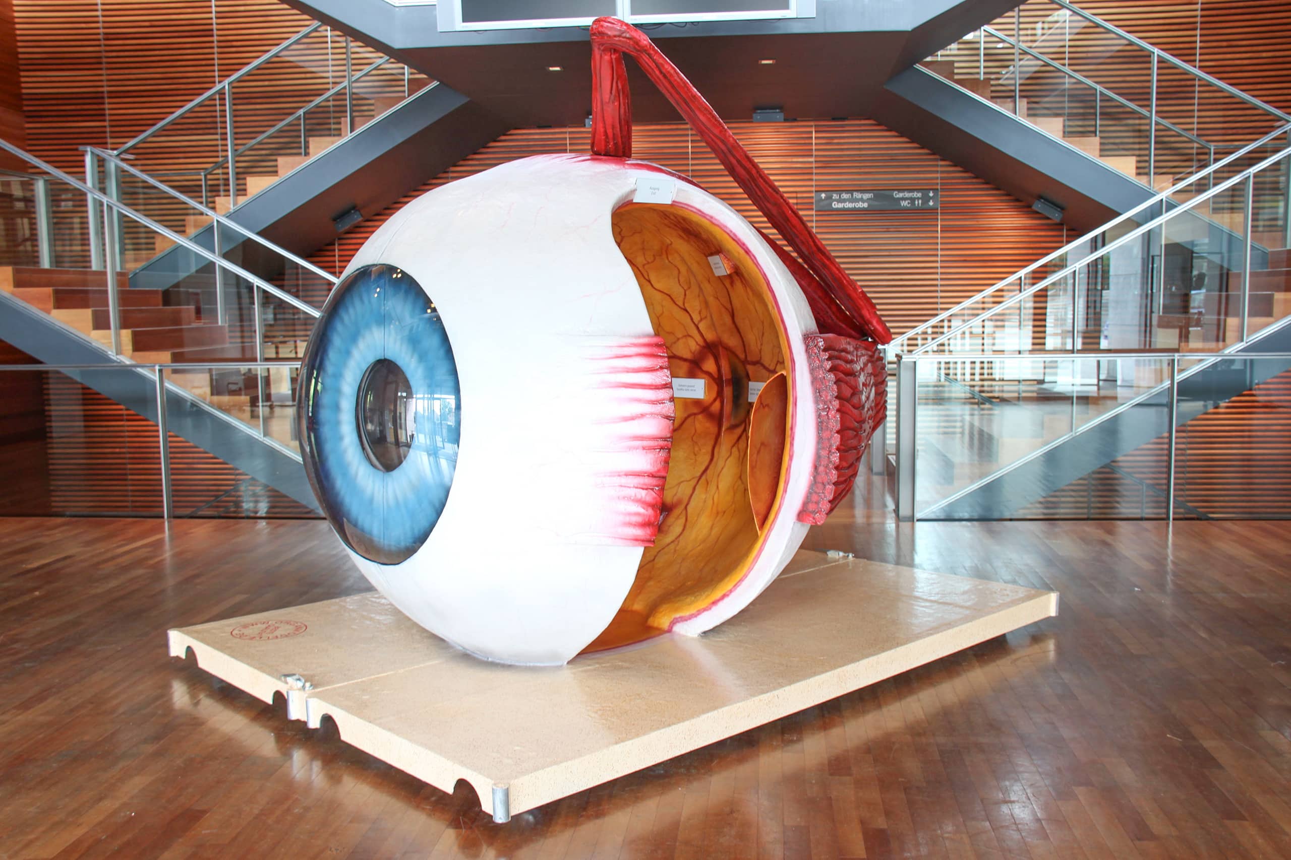 Im "SCHAUplatz Gesundheit" erhalten BesucherInnen der Dornbirner Messe SCHAU! Beratung, kostenlose Gesundheitschecks und Einblicke in körperliche Funktionen über Organmodelle.