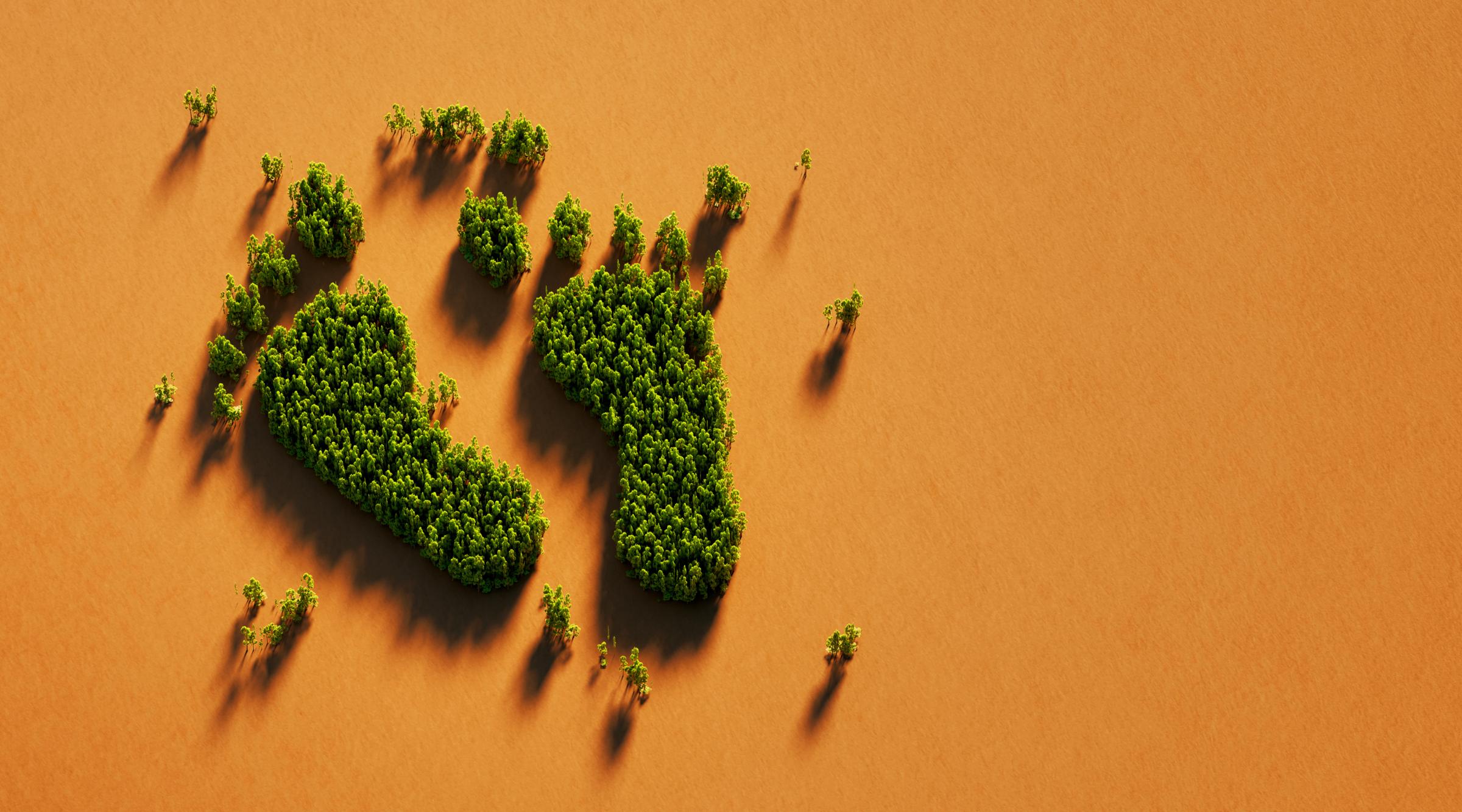 OBO Bettermann präsentiert den Nachhaltigkeitsbericht 2024.