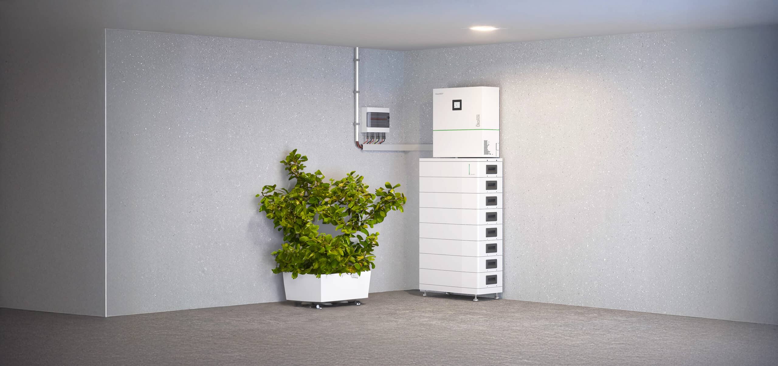 Kompaktes, verkabeletes Batteriesystem "GreenBOX®" mit gestapelten Energiespeichermodulen in einem Technikraum bzw. Keller mit Pflanze von ÖkoFEN.