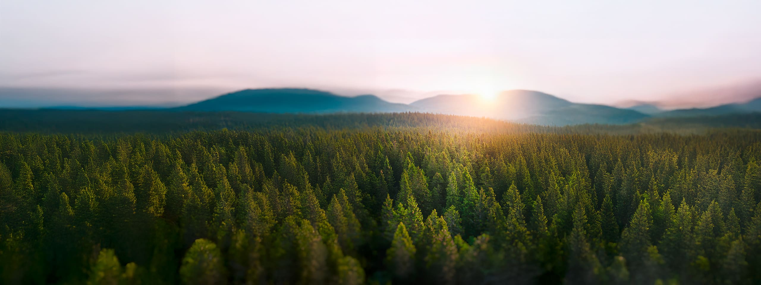 Opple Lighting setzt auf energieeffiziente Technologien und ressourcenschonender Logistik.