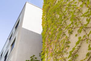 RÖFIX zeigt die Außenansicht eines Wohngebäudes mit Flachdach und grau-weißem Außenputz der mit Efeu bewachsen ist.