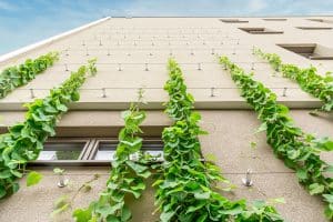 SynthesaGruppe zeigt eine Fassade mit Ranksystem.