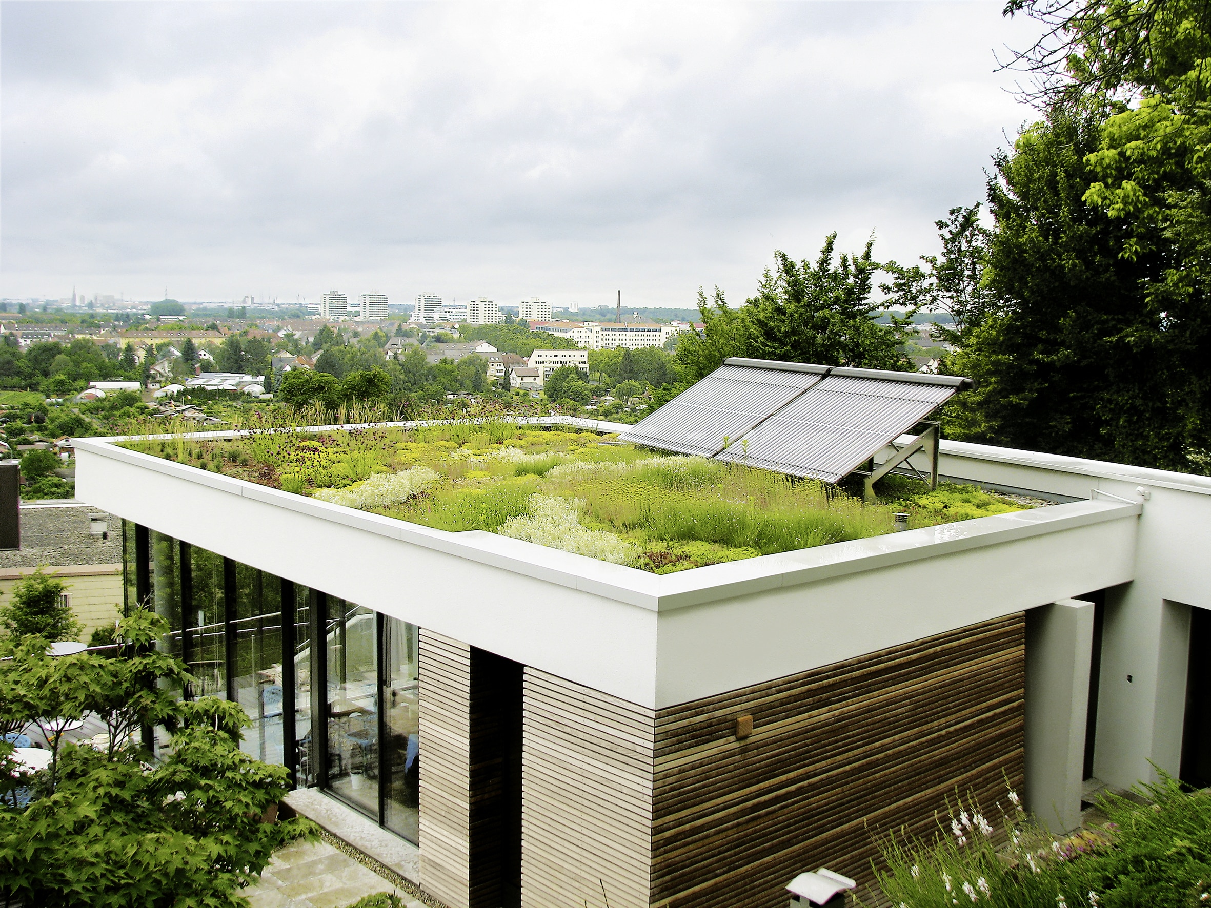 Flachdach mit Extensivbegrünung von ZinCo und Solar Panel.