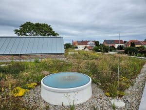 Drei Lichtkuppeln inmitten der grünen Dachlandschaft lassen zusätzliches Tageslicht in die Innenräume.