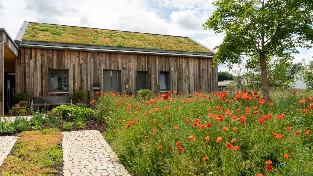 Der grüne „Hut“ dieses Holzhauses in Oberschwaben bildet Dank ZinCo mit dem naturnahen Garten ein wunderbares Bild.