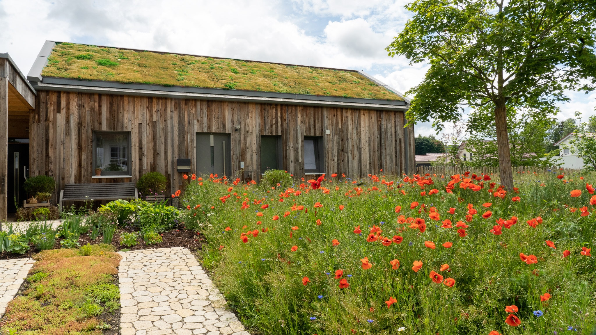 Der grüne „Hut“ dieses Holzhauses in Oberschwaben bildet Dank ZinCo mit dem naturnahen Garten ein wunderbares Bild.
