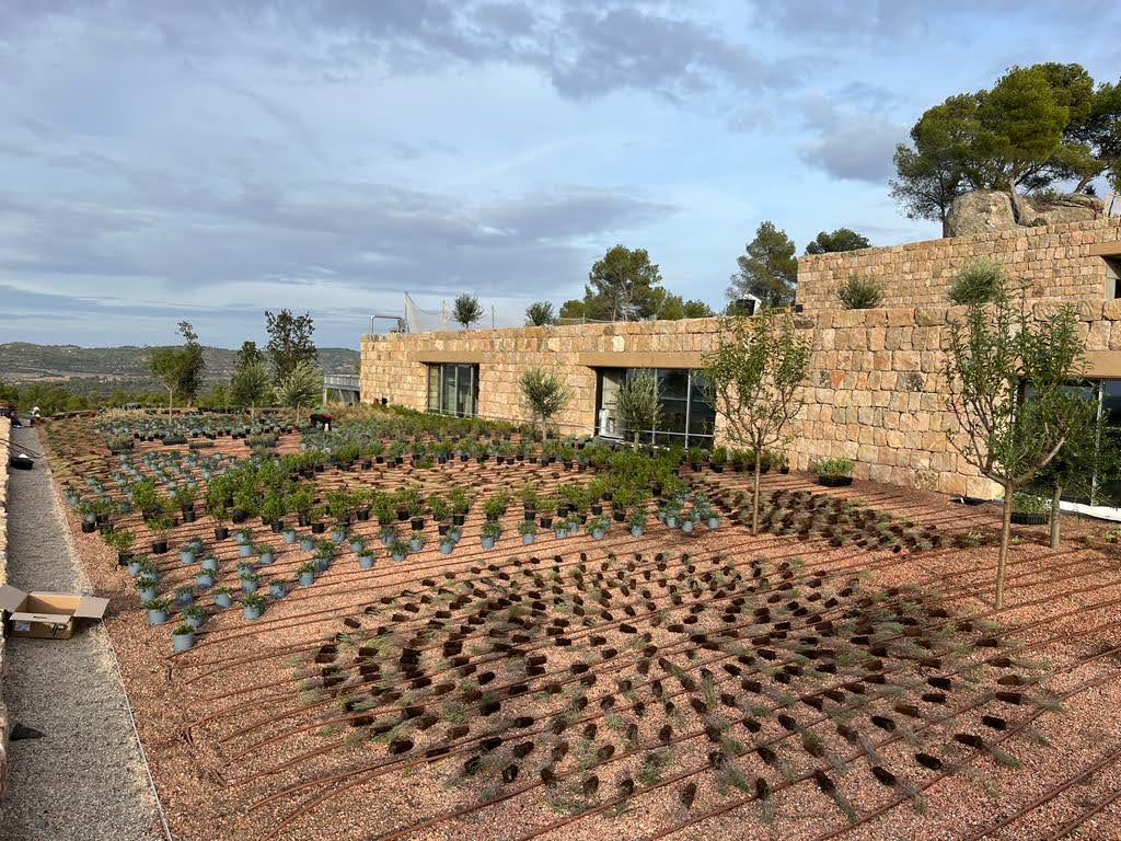 Zinco präsentiert ein Referenzprojekt in Spanien mit mehreren begrünten Dachebenen mit heimischen Pflanzen, die ein Muster bilden.