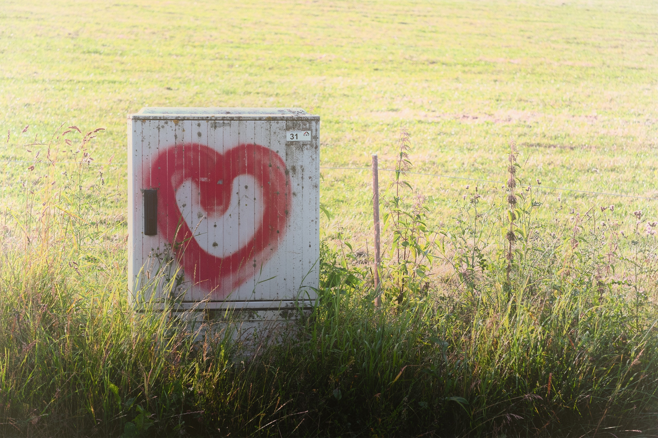 Stromkasten mit Herz (Graffiti) am Rande einer einer eingezäunten Wiese bzw. Baugrund.