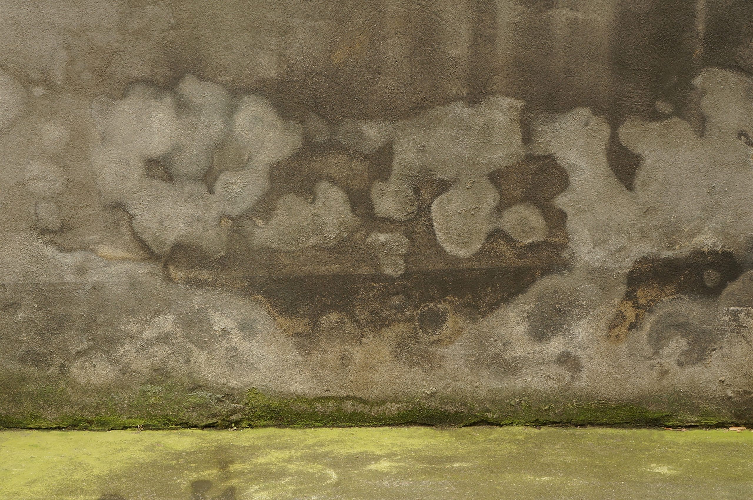 Vertrocknete Spuren von Salzausblühungen und grünem Belag auf Grund von Feuchtigkeit im Mauerwerk.