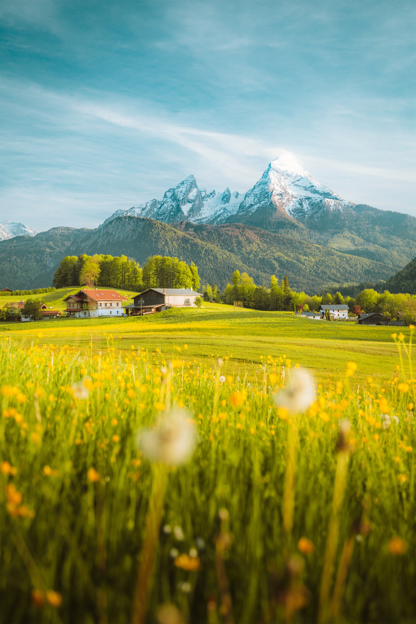 Idyllische Alpenlandschaft mit blühenden Wiesen und Bauernhöfen im Frühling.