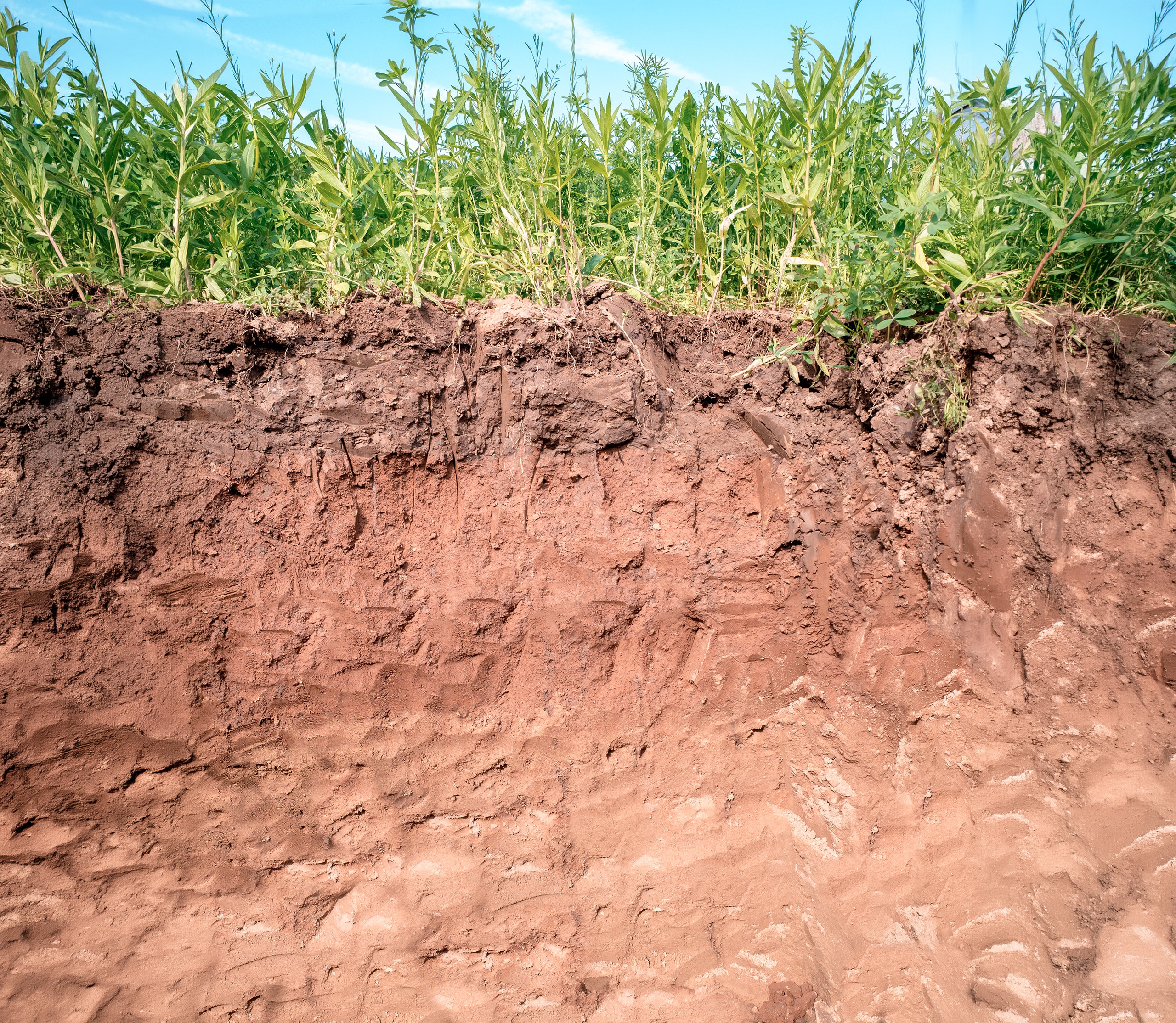 Querschnitt der verschiedenen Bodenschichten bzw. Geologie des Erdreichs eines Grundstückes. - KI-generiert