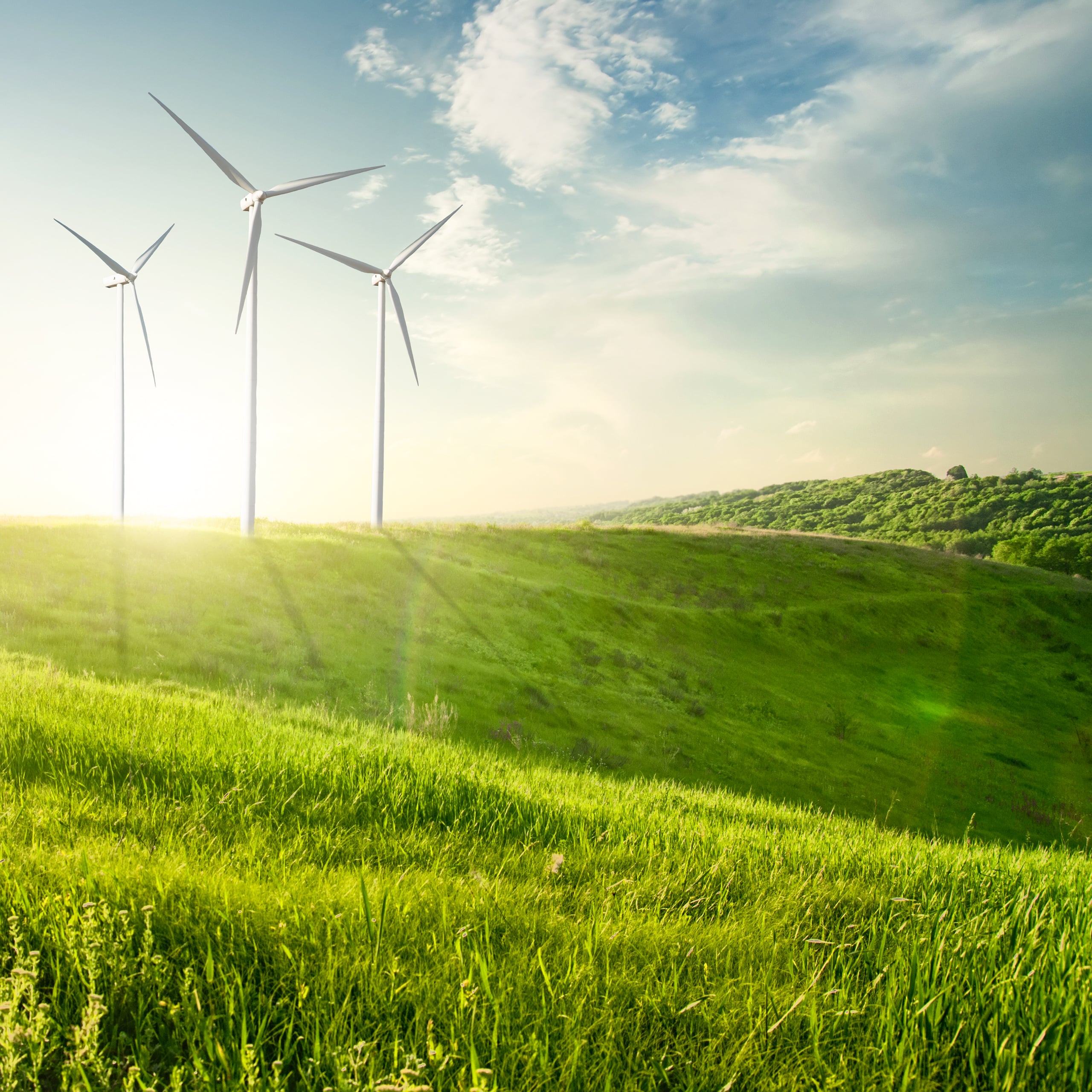 3 Windräder auf der Anhöhe eines Hügels einer sanft hügeligen, unbewohnten Landschaft.